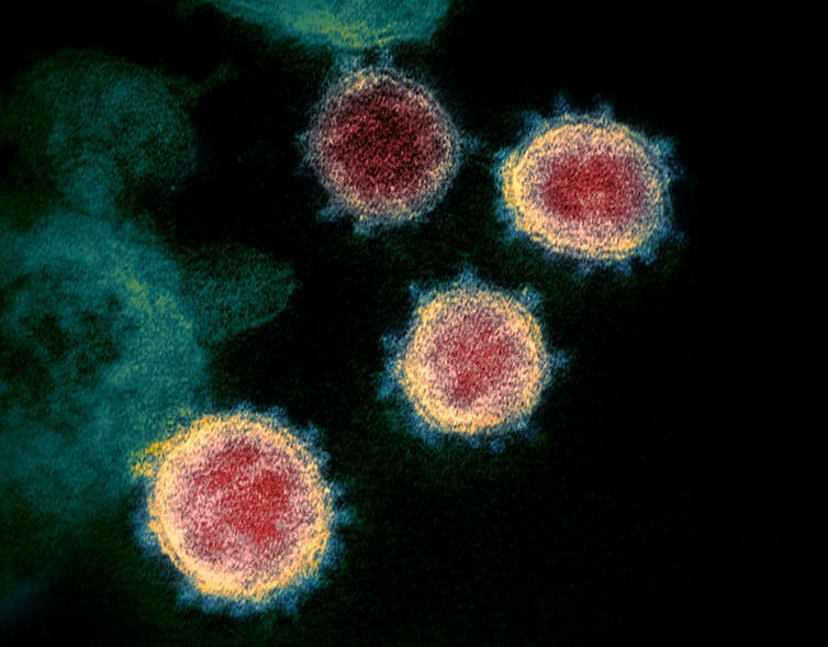 Does vaccination completely prevent infection?